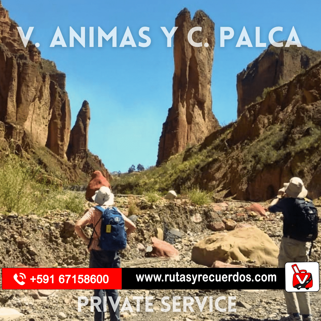 animas y palca
